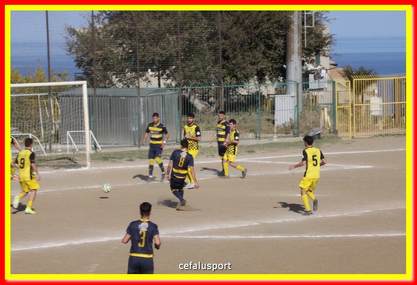 200301 Cepha_Mazara 060.jpg